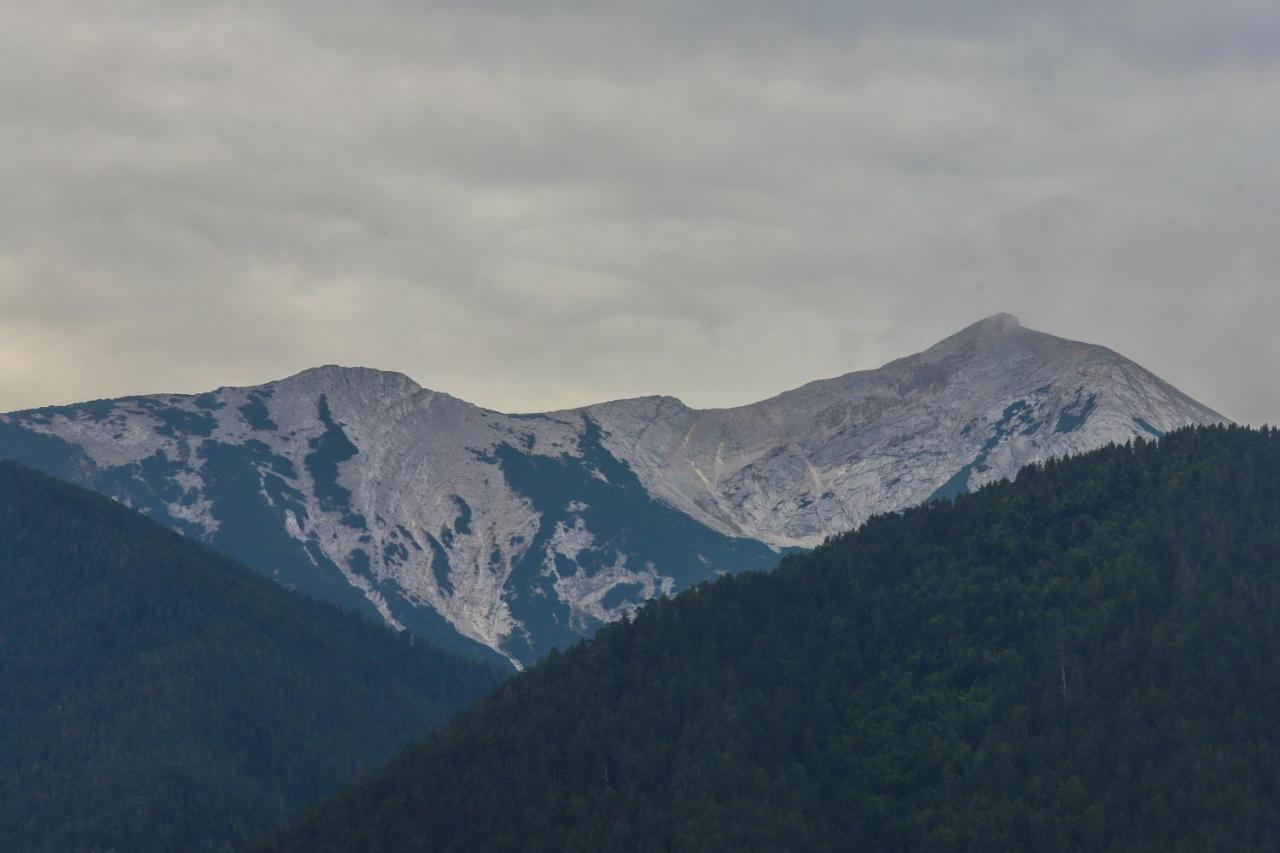 فيلا Mountain Hawk Park بانسكو المظهر الخارجي الصورة